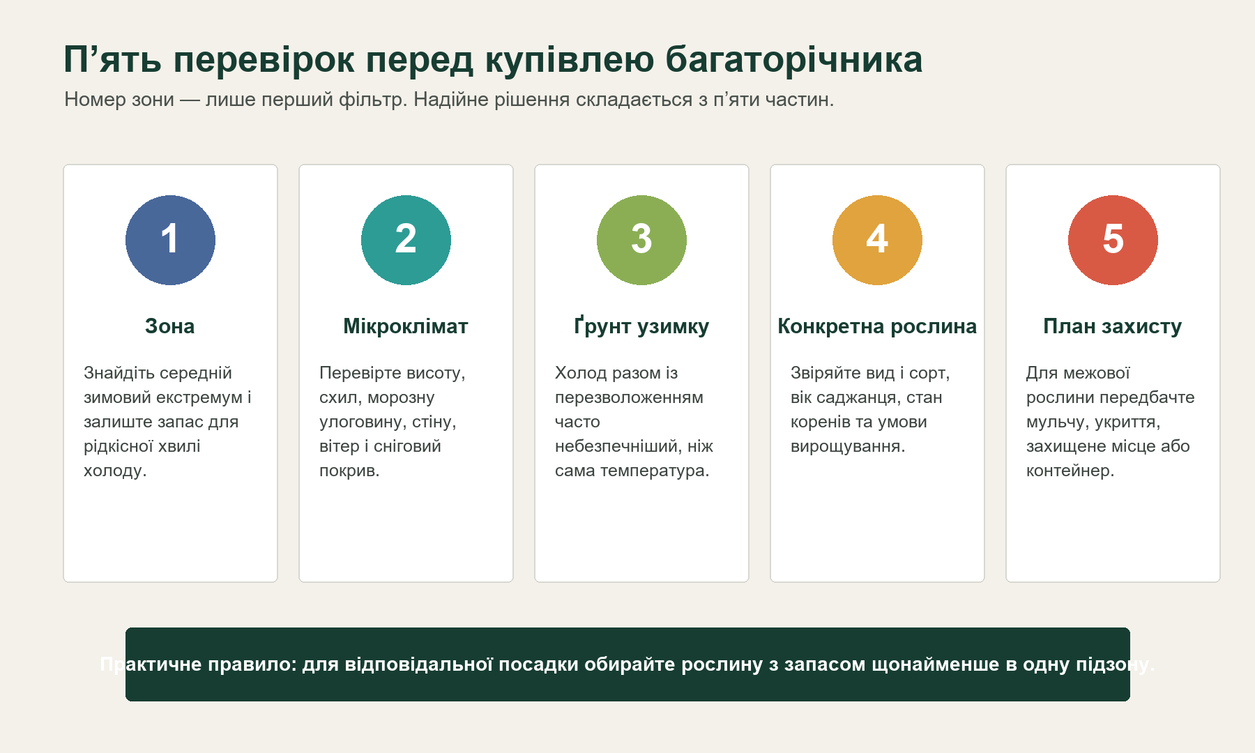 Інфографіка з п'ятьма перевірками перед купівлею багаторічника: зона, мікроклімат, ґрунт, рослина і план захисту